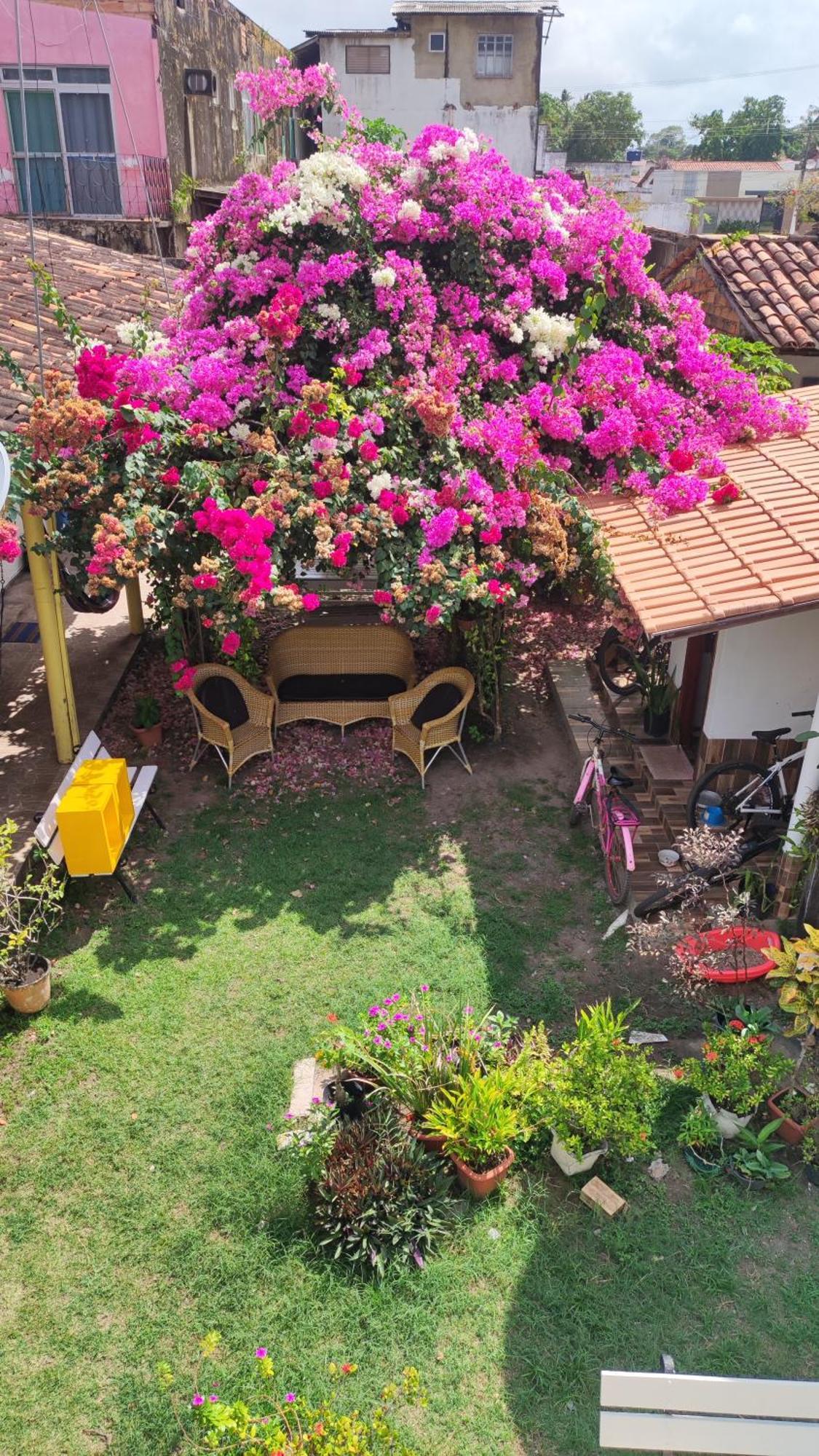 Pousada Solar Encanto Do Marajo Soure Eksteriør billede