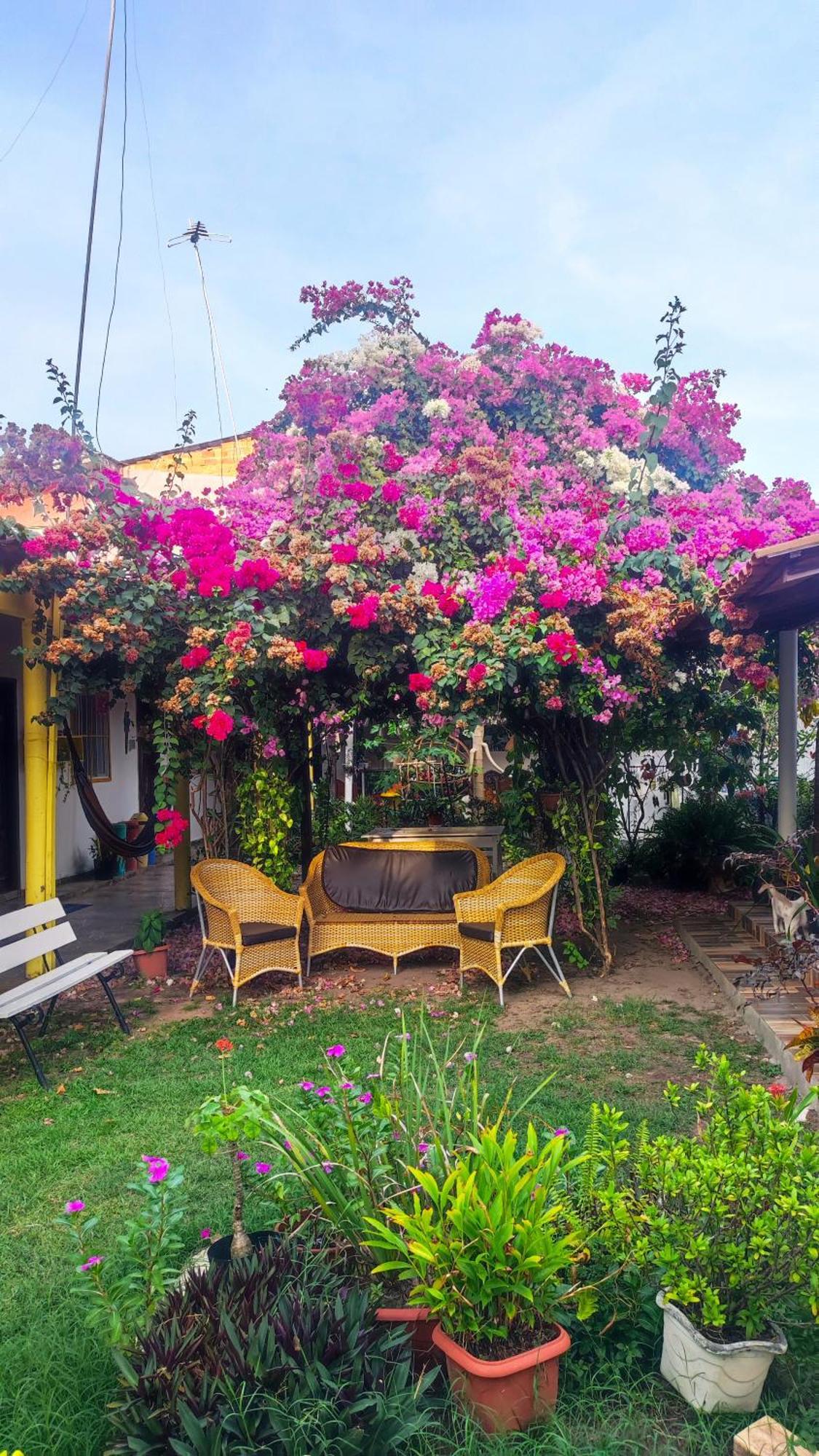 Pousada Solar Encanto Do Marajo Soure Eksteriør billede