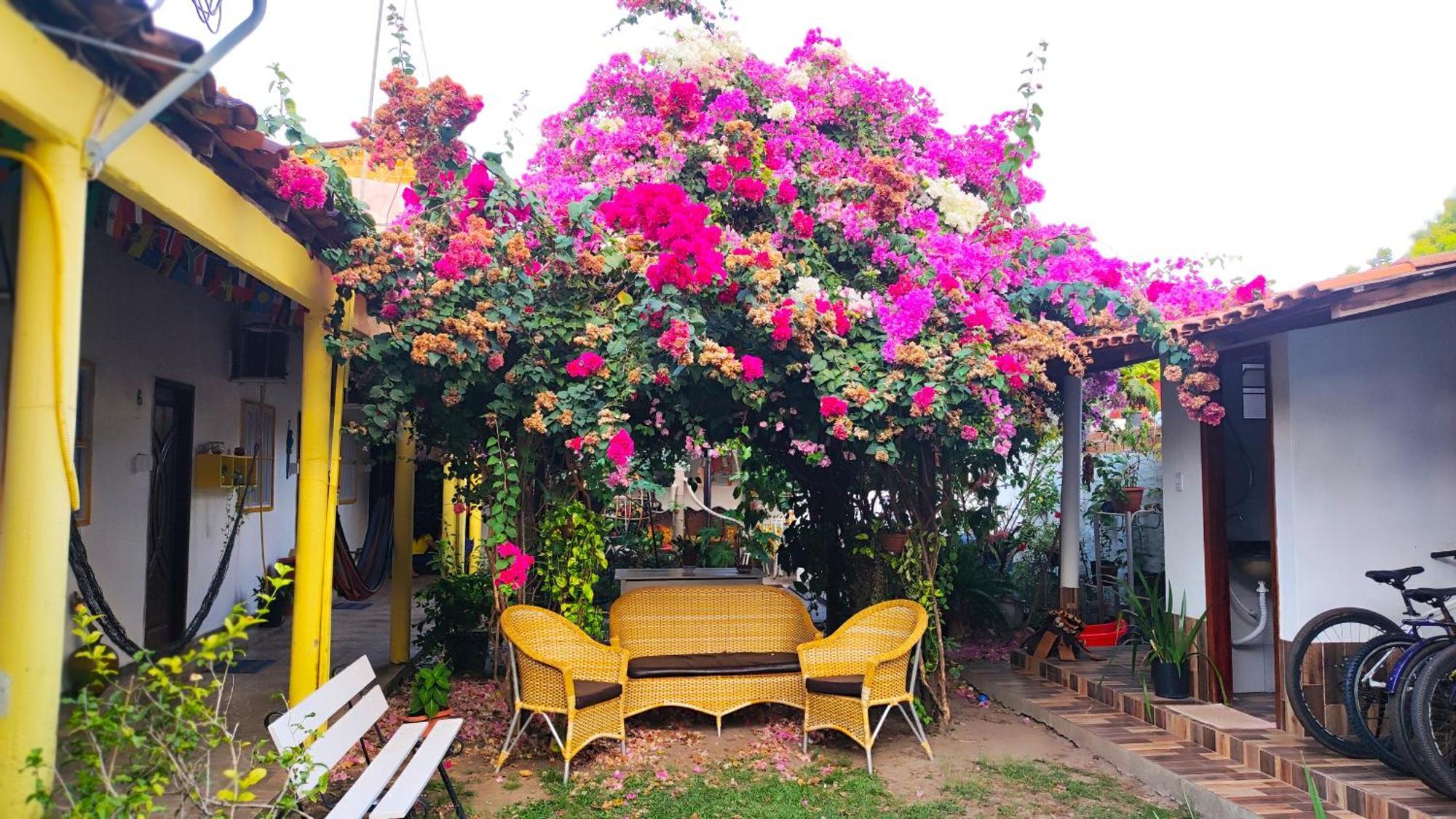 Pousada Solar Encanto Do Marajo Soure Eksteriør billede