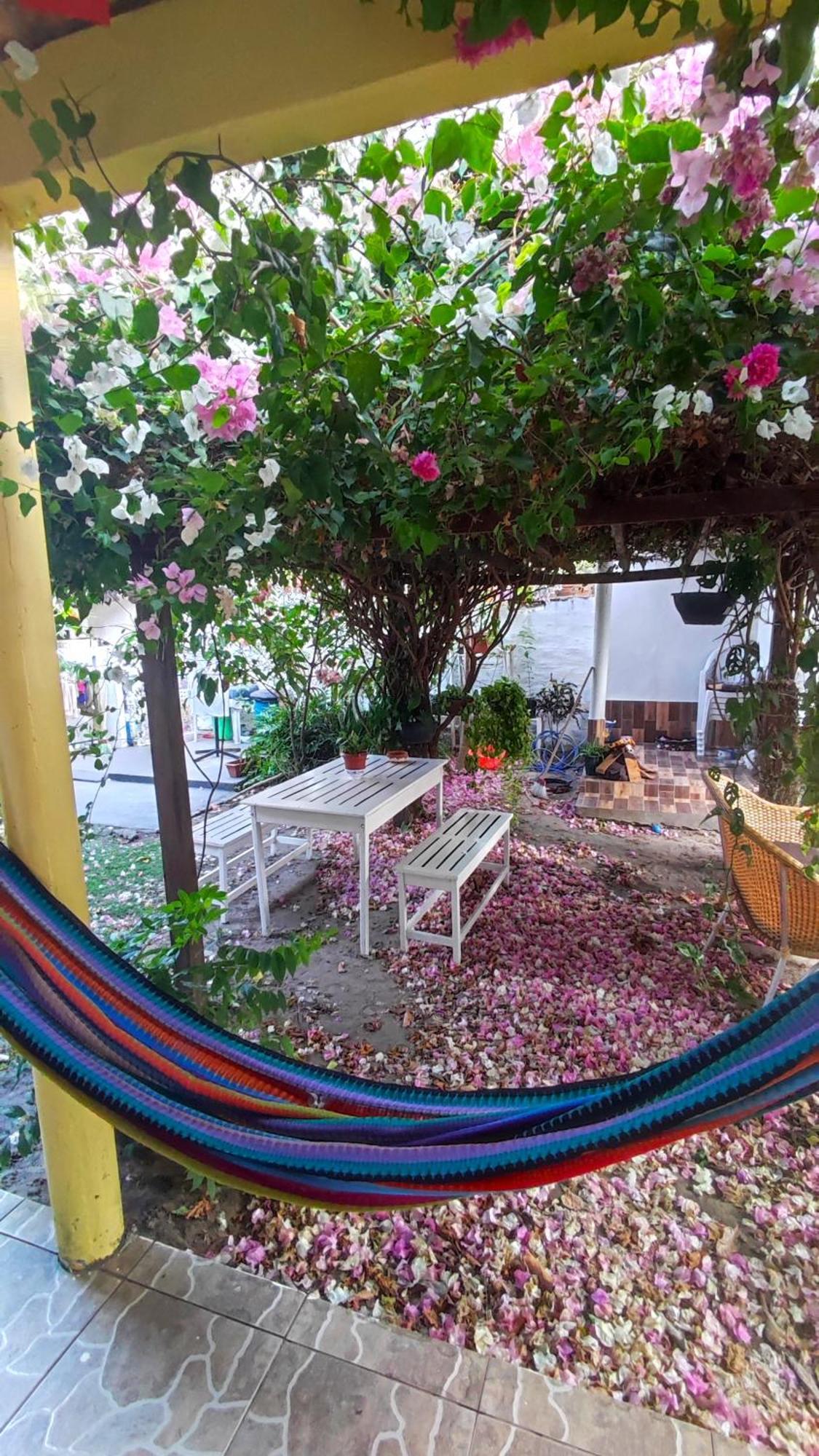 Pousada Solar Encanto Do Marajo Soure Eksteriør billede